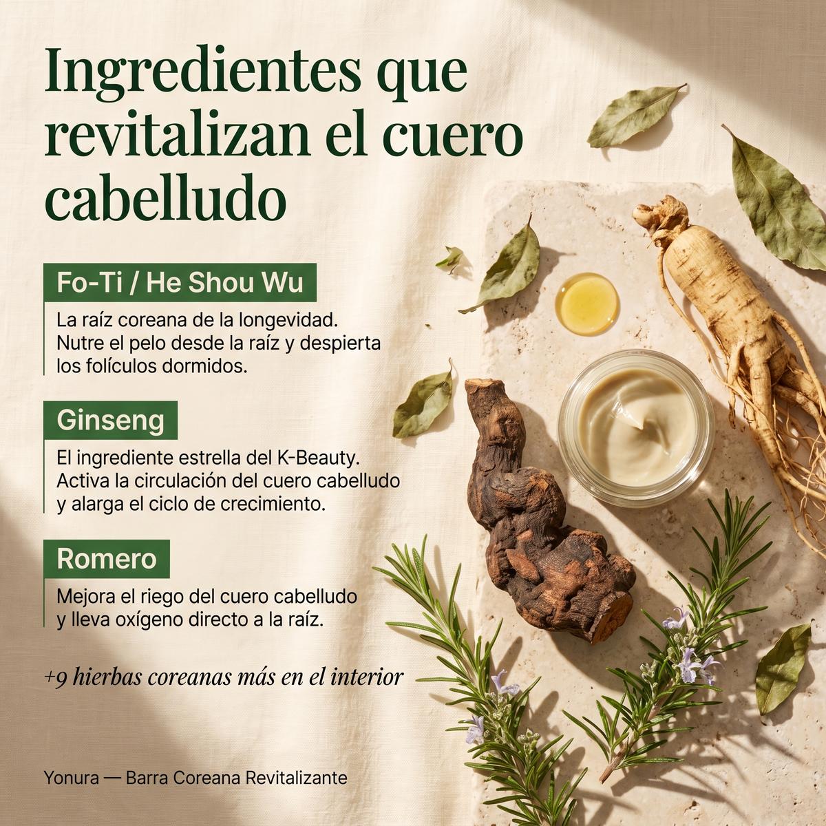 Barra Coreana Anticaída Yonura